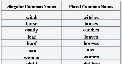 Plural Form Of Sheep In English - Eayan