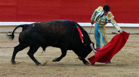 Discover Spain: "La corrida de toros" (Pierre)