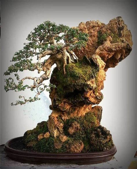 Pin by Lily Faron on Flora - Ikebana and Bonsai | Bonsai garden, Bonsai tree types, Bonsai styles