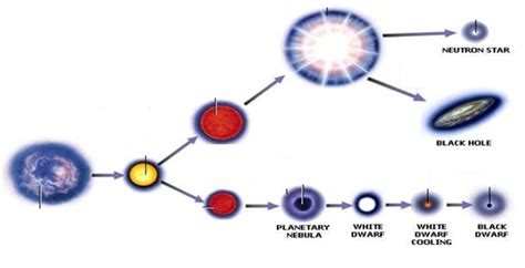 Star Life Cycle Diagram | Quizlet