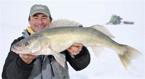 Ice-fishing video: The only four walleye lures you'll ever need ...