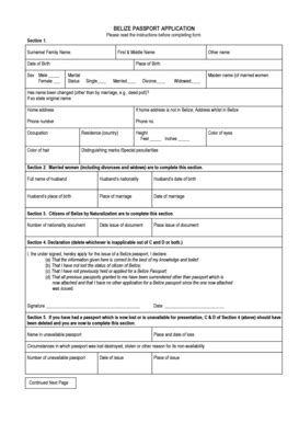 BELIZE PASSPORT APPLICATION INSTRUCTION - Consulate Of ... - Fill and Sign Printable Template Online