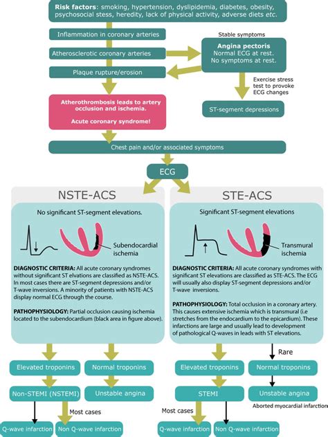 Classification of Acute Coronary Syndromes (ACS) & Acute Myocardial Infarction (AMI) – ECG & ECHO