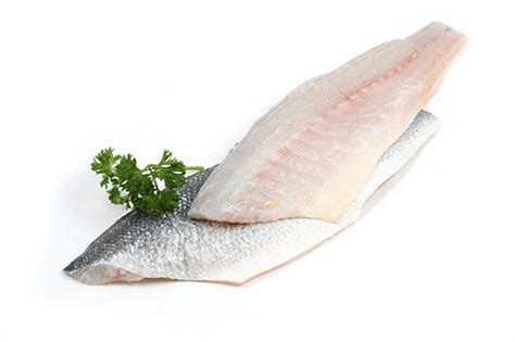 Branzino Fillet – Santa Barbara Fish Market