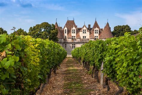 Monbazillac Castle with Vineyard, Aquitaine, France Stock Photo - Image of historical, dordogne ...