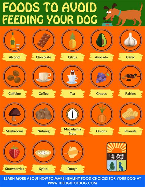 Foods to avoid feeding your dog - The Light Of Dog