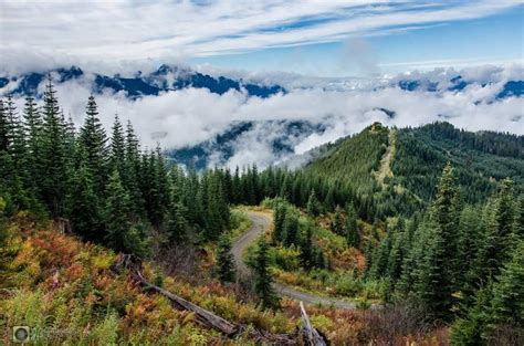 Photos: Vibrant fall colors around the Pacific Northwest | KPIC