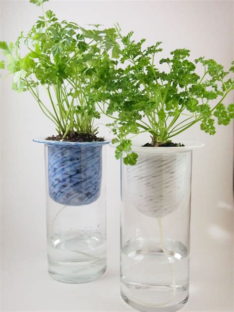 Self-watering planter (kitchen herb garden) | Self watering planters ...