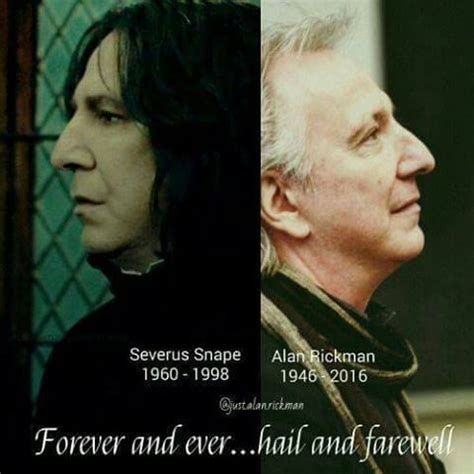 Alan Rickman | Harry potter cast, Harry potter severus, Alan rickman