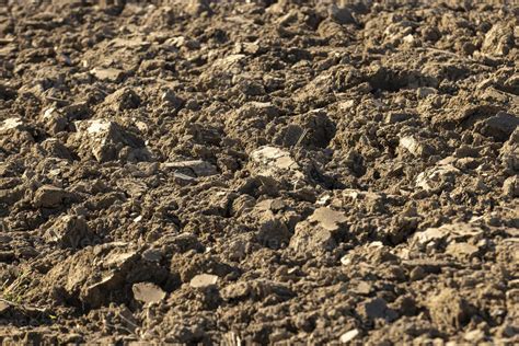 Preparation of soil for sowing plants 13656014 Stock Photo at Vecteezy