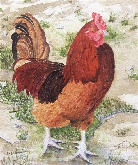 Red Rooster Painting by Bonnie Young - Fine Art America