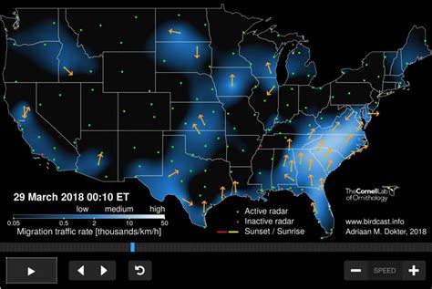 BirdCast: real-time migration information - eBird