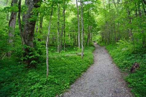 Chimney Tops Trail | Great Smoky Mountains National Park