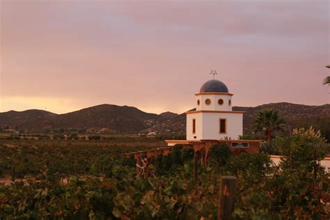 Wine in Mexico: History, wine region, wines & everything you need to know