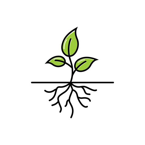 plant root icon design template 7636004 Vector Art at Vecteezy