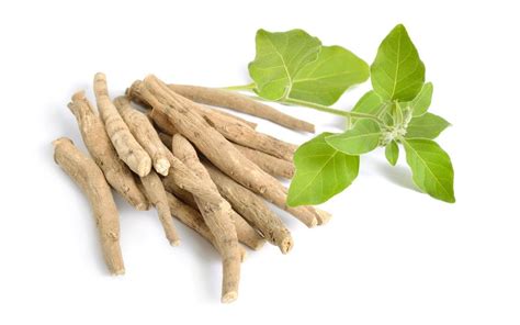 Ashwagandha For Sleep - Fitore Nutrition