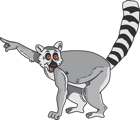 Free vector graphic: Lemur, Animal, Comic, Madagascar - Free Image on ...