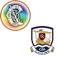 Compiling a history of Galway Camogie - Galway Camogie