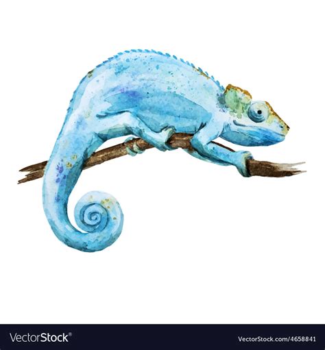 Chameleon Royalty Free Vector Image - VectorStock