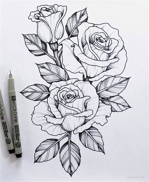 Rose Pencil Sketch