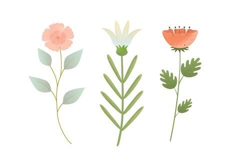 Vector Flower Illustration - Download Free Vector Art, Stock Graphics ...