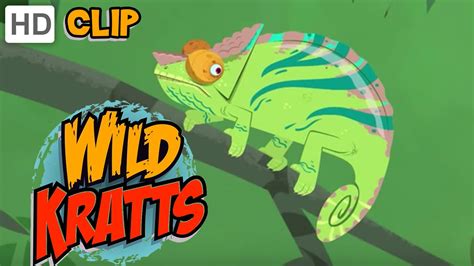 Wild Kratts - Chameleons Rule! - YouTube