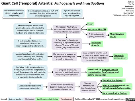 Giant Cell (Temporal) Arteritis: Pathogenesis and investigations ...