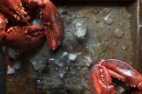 Cooked lobster food photography recipe | Premium Photo - rawpixel