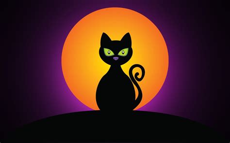 🔥 [30+] Black Cat Halloween Wallpapers | WallpaperSafari