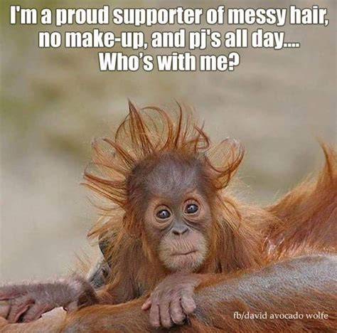 AWWW! image by Sherri Tyler | Funny good morning memes, Morning quotes ...