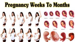 Pregnancy Belly Week By Week Chart