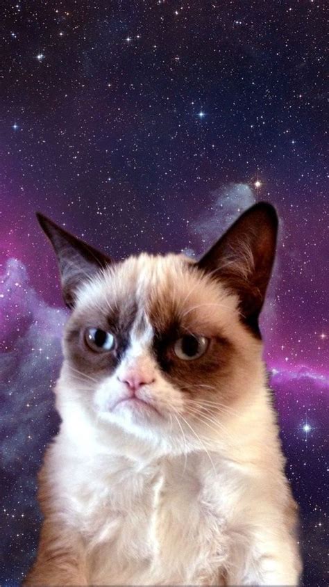 Grumpy Cat in Space | Cat phone wallpaper, Cat wallpaper, Grumpy cat