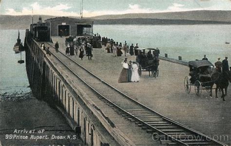 Arrival of S.S. Prince Rupert Digby, NS Canada Nova Scotia Postcard