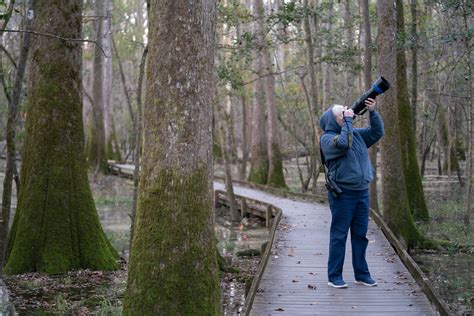 Christmas Bird Count — Soda Citizen - Photo Stories from the South