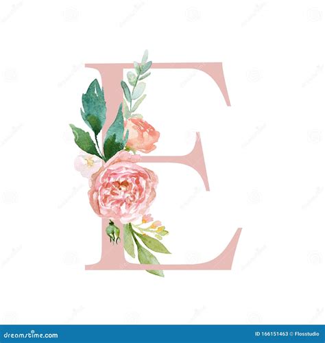 Floral Alphabet - Blush / Peach Color Letter E with Flowers Bouquet Composition Stock ...