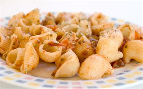 Short pasta stock photo. Image of ziti, italy, tomatoes - 242448