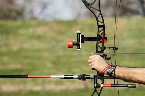 Best Bow Stabilizers - Reviews of Top Bow Stabilizers for Hunting 2016