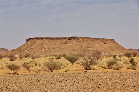 Premium Photo | Sahara desert of sudan