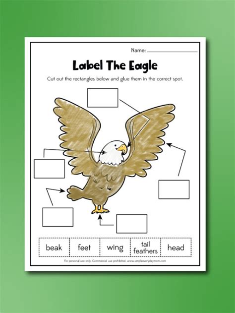 Bald Eagle Worksheets For Kids [Free Printables] Story - Simple ...