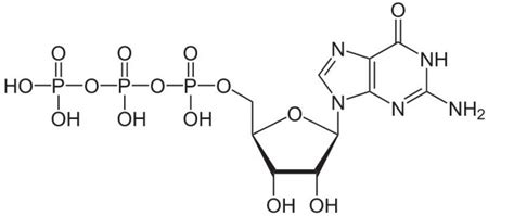 Guanosine Triphosphate | SIELC Technologies