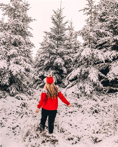 Snow in Belgium; the High Fens are the ultimate Winter Wonderland!