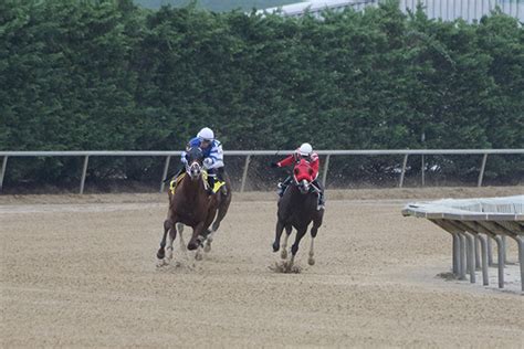 Delaware Park Horse Racing- Oct 3rd, 2015