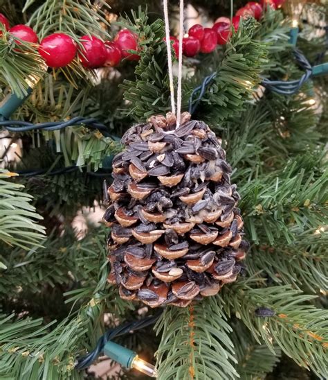 Pine Cone Bird Feeder - Cook'n with Mrs. G