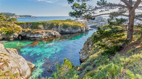 The Ultimate Guide to Monterey Beaches - The Family Vacation Guide