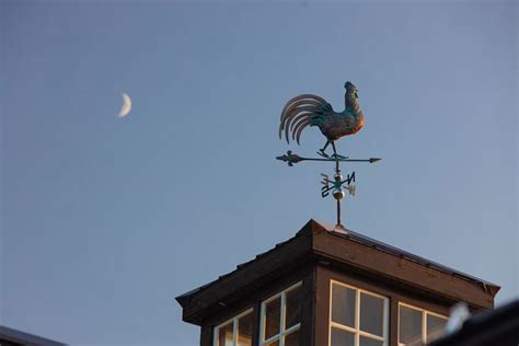 Antique Weathervane: Identification and Value Guide