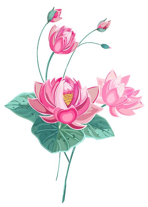 Buddha Hand Holding Lotus Flower Meaning | Best Flower Site