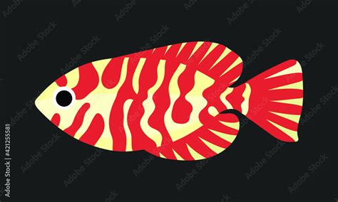 the glasseye snapper fish. collection set of coral fish illustration. the hand drawing of under ...