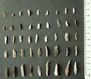 Mesolithic Age Stone Tools