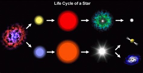 1.3 Stellar Evolution Chart Diagram | Quizlet