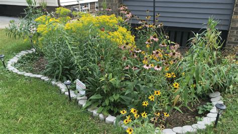 Milwaukee Stormwater Tree Project Helps Manage Rain